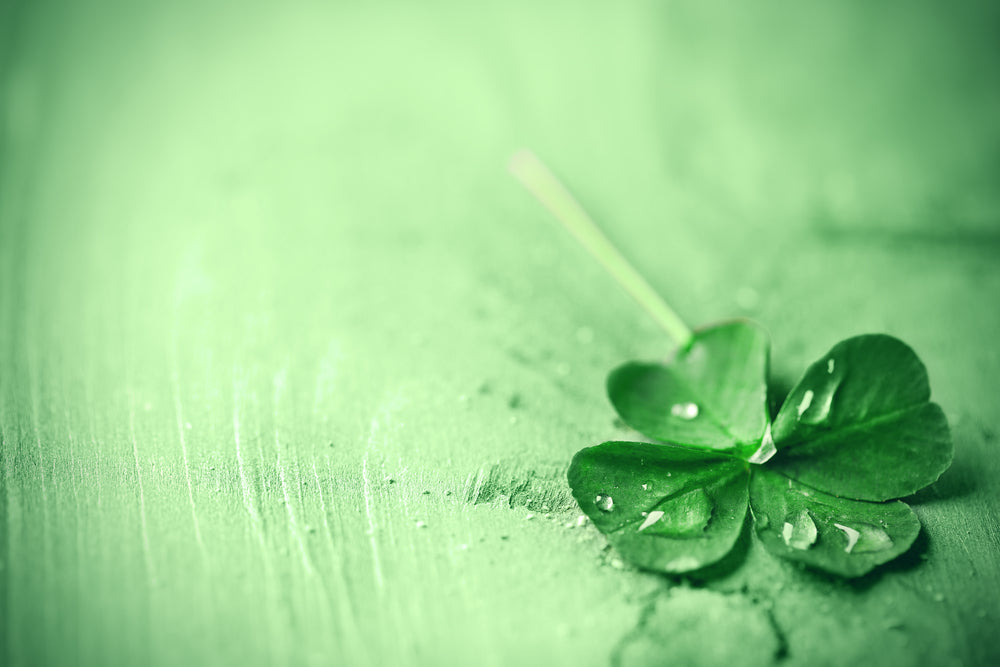 The Story Behind The Luck Of The Shamrock