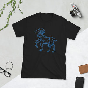 Blue Aries T-shirt