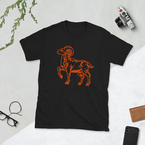 Orange Aries T-shirt