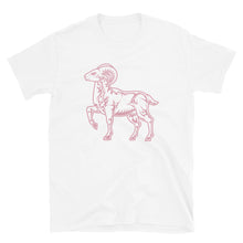 Pink Aries T-shirt