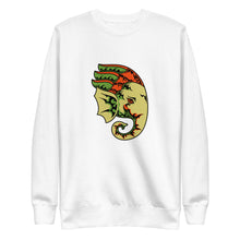 Ganesh_GRGColors Multi-Color Fleece Sweatshirt