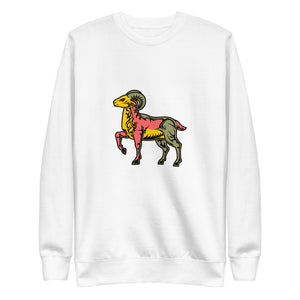 Aeries_ColorsYRG Multi-Color Fleece Sweatshirt