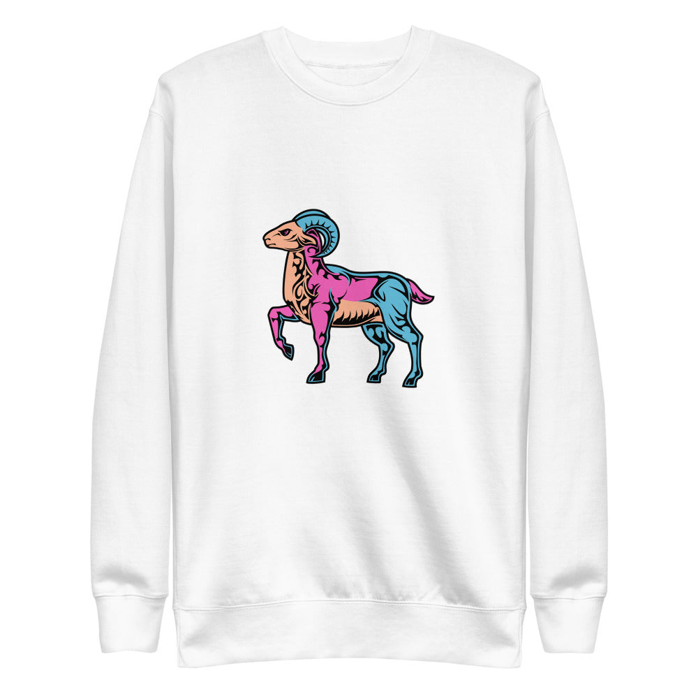 Aeries_ColorsMBO Multi-Color Fleece Sweatshirt