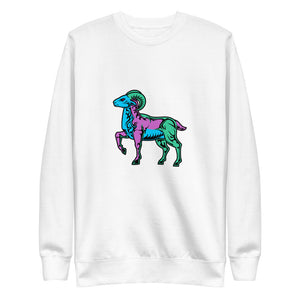 Aeries_ColorsBPG Multi-Color Fleece Sweatshirt